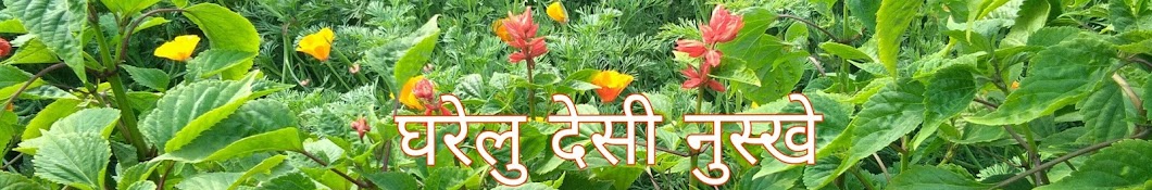 Gharelu Desi Nuskhe YouTube-Kanal-Avatar