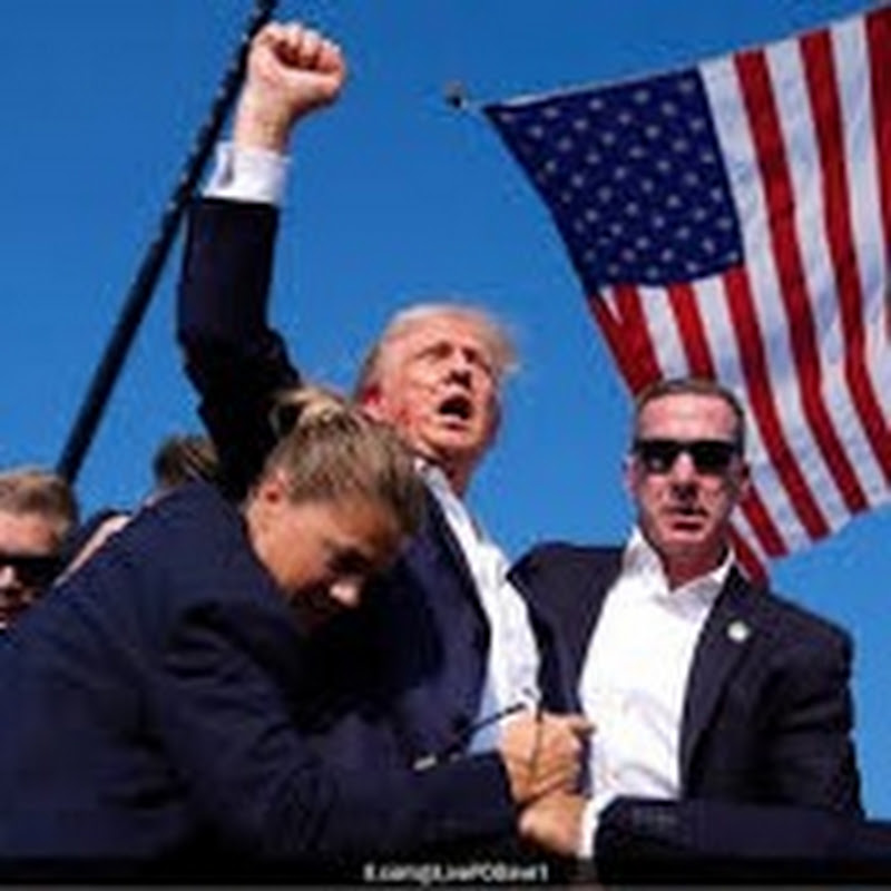 MAGA Maverick