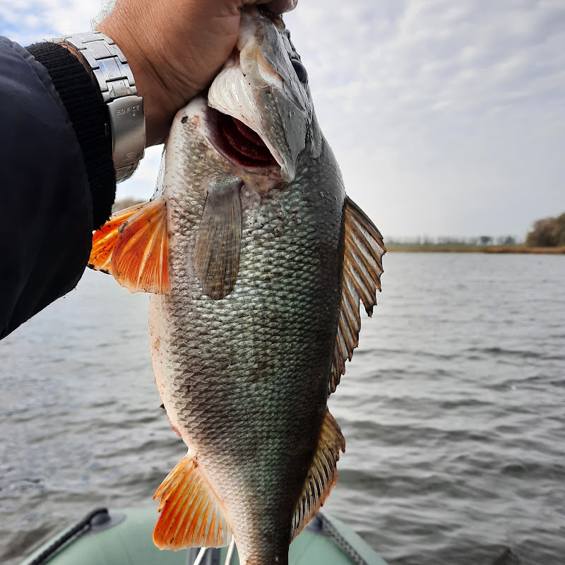 Fishing Drive з Ihor Markus'