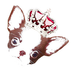 Chihuahuas Villa Del Rey