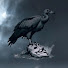 tagXKioDFeQ-channel-avatar-Rain on Your Charade
