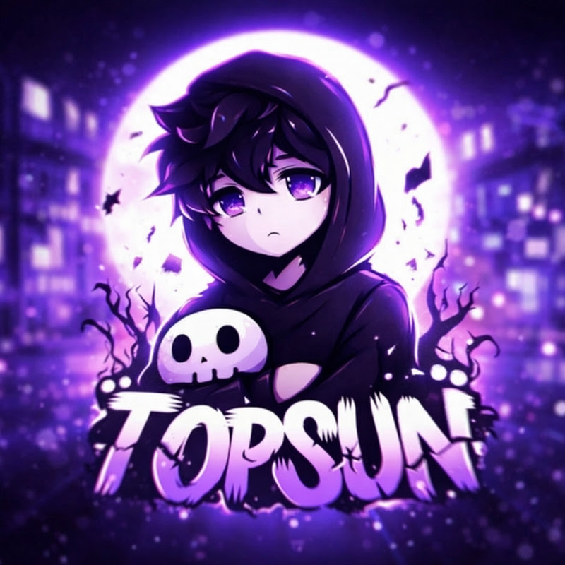 Topsun Gaming 