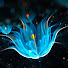 4cMkPT0nxEs-channel-avatar-DarkSlayer