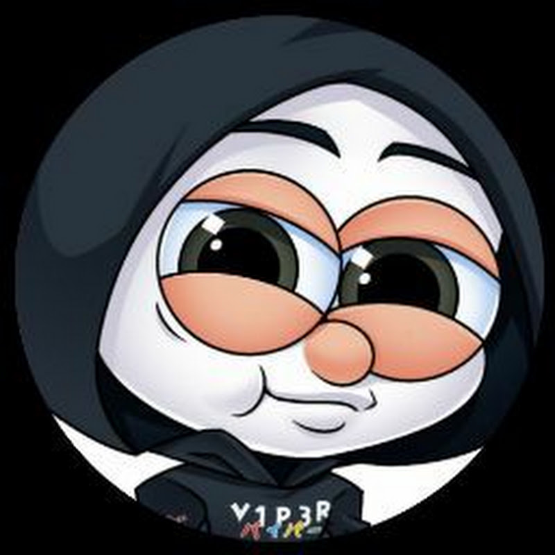 V1P3R