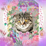 WGdw06s6zBU-channel-avatar-СaT uno