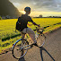 7eVJao5WaPk-channel-avatar-miro japan