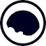4ePROIjl-CQ-channel-avatar-NoBrainer Languages Brasil