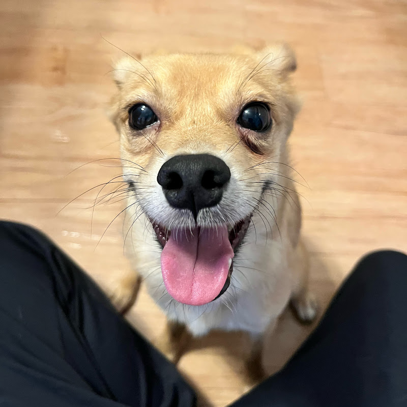 エブリデイくまま