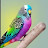 World of Budgie