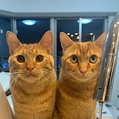 きなとなこときこ