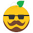 qAhC5sfGixA-channel-avatar-Citrus Old Gamer