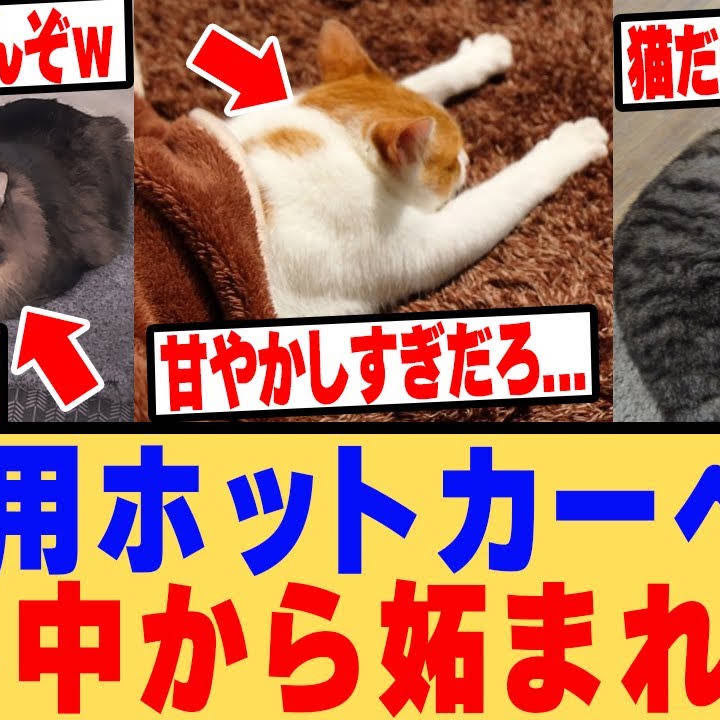 Post from 世界に誇るJAPAN【海外の反応】