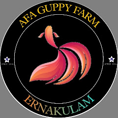 AFA GUPPY FARM  channel logo