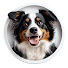 GH91gZzy_s4-channel-avatar-Best For Our Pets