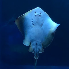 ぐにる