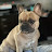 @MiSo_Dude Avatar