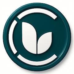 Umid Arts Classes avatar