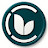 Umid Arts Classes