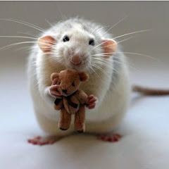 Jonathan Kleck net worth