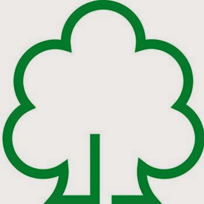 Channel Avatar