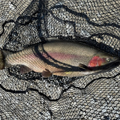 NorthernAngler