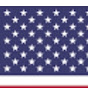 USA united short logo