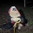 @Zeno_comp Avatar