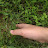 @Touching-w4d