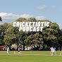 Cricketistic Podcast logo