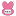 新規メンバー