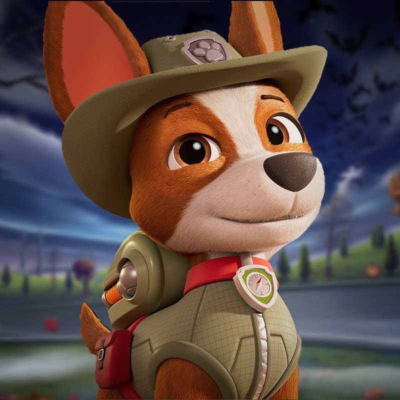 PAW Patrol Official & Friends