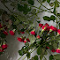 0HCWypx7DGE-channel-avatar-Joy Rose