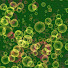p6d_HayY_iU-channel-avatar-Sea Green - AI Music Productions