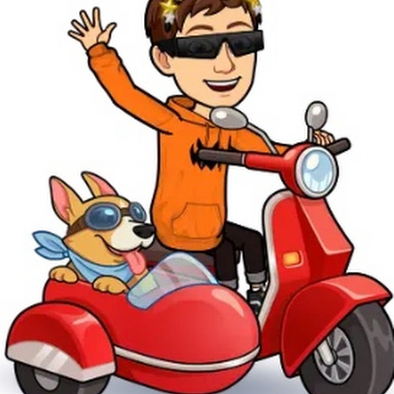 Hire TJ mini moto — Cat Care & Behaviour YouTube creator for sponsorships