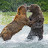 @ApexPredator_MMA