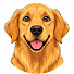 0dqy3i1priw-channel-avatar-Dog Psychology