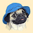 xG5gp4PGcrU-channel-avatar-Codz