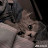 @عباس-ث9ش9ر