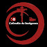 -RI2BUjUXVA-channel-avatar-Cofradía De Imágenes 