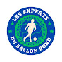 Les Experts Du Ballon Rond_EBR logo
