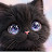 @Srimeow-q7s