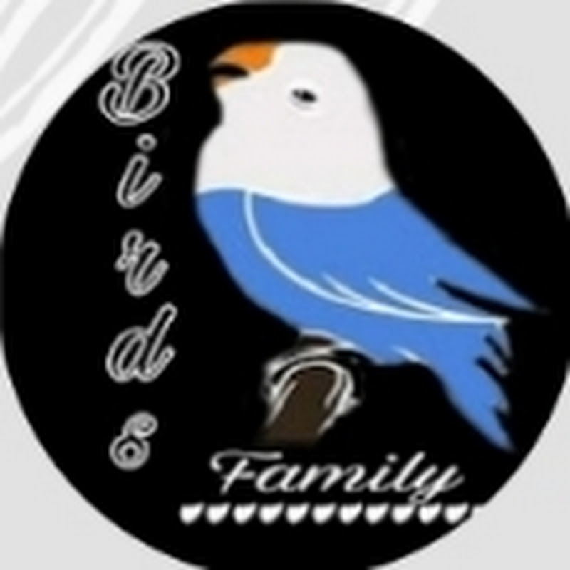 Bird's family 