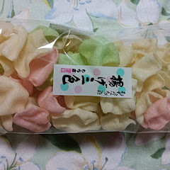 定置網漁が好きアイコン画像
