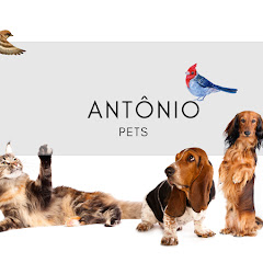 Antonio Pets