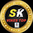 -gUHPUdNghc-channel-avatar-sk vines top 