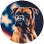 Boxer Dog USA logo