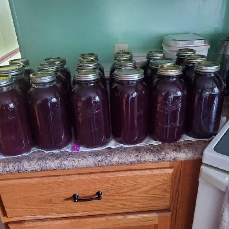 Homesteading Made Easy