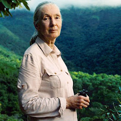 Jane Goodall Institute Australia