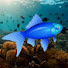 v3SF8XOeRcY-channel-avatar-«Mr_fish»