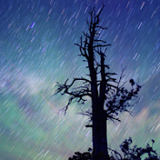 とむさん星空ノート（ラジオパーソナリティが語る星座・神話・宇宙）